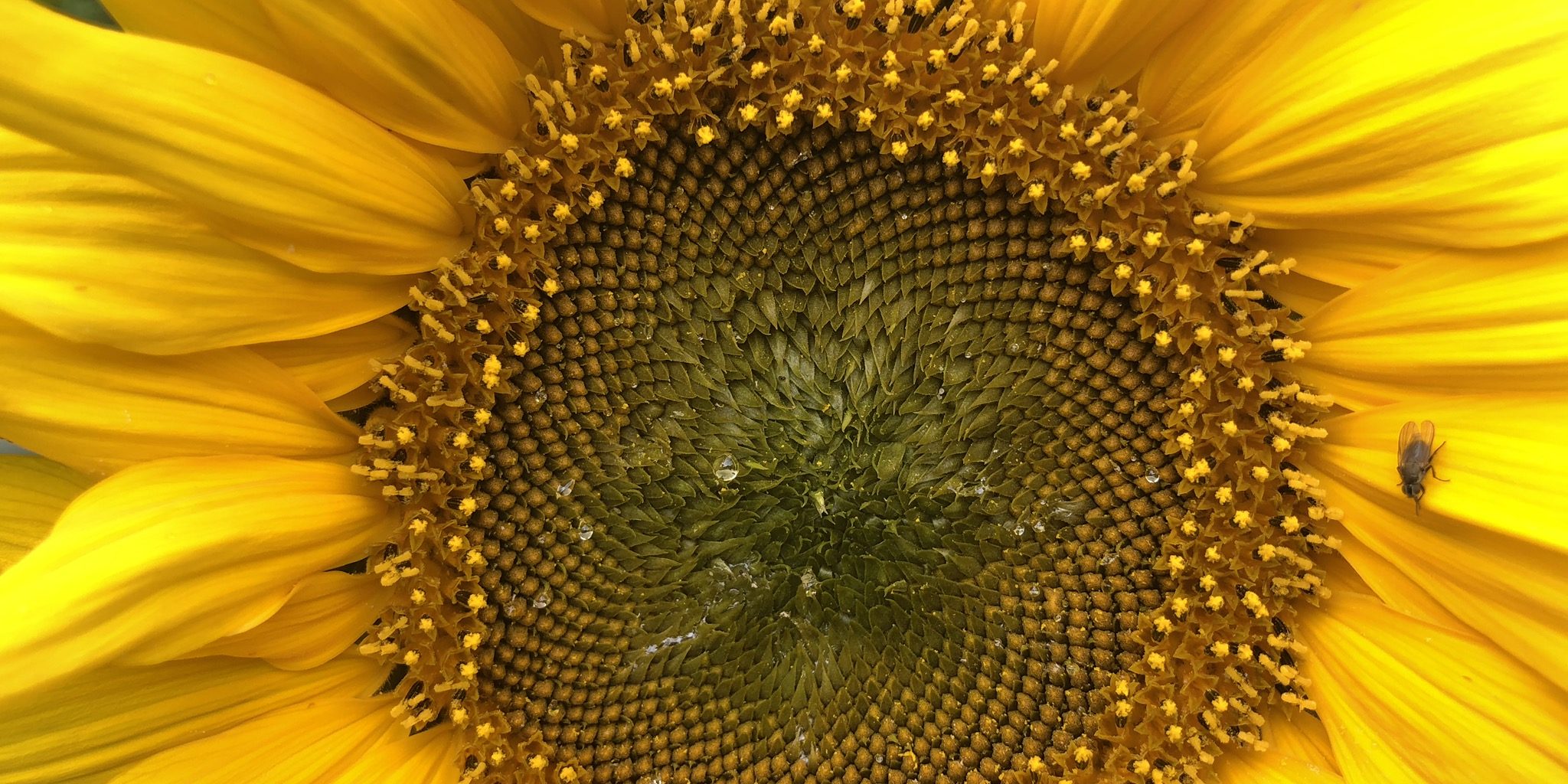 E670E51A-E1FC-4446-9F6A-91DBC4DC9D5A